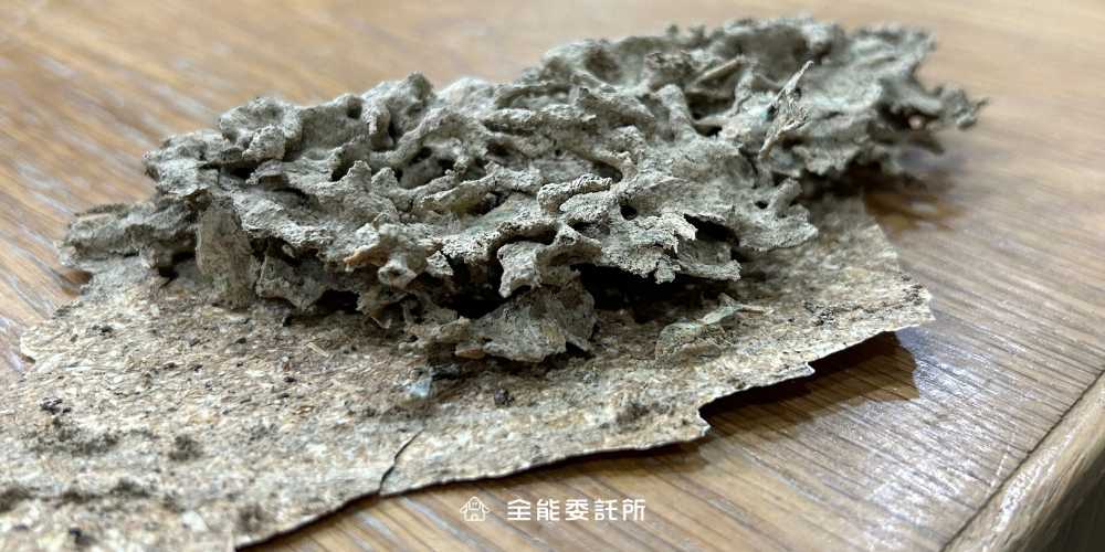 白蟻啃食 白蟻啃食
